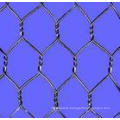 The Galvanized Iron Hexagonal Wire Mesh